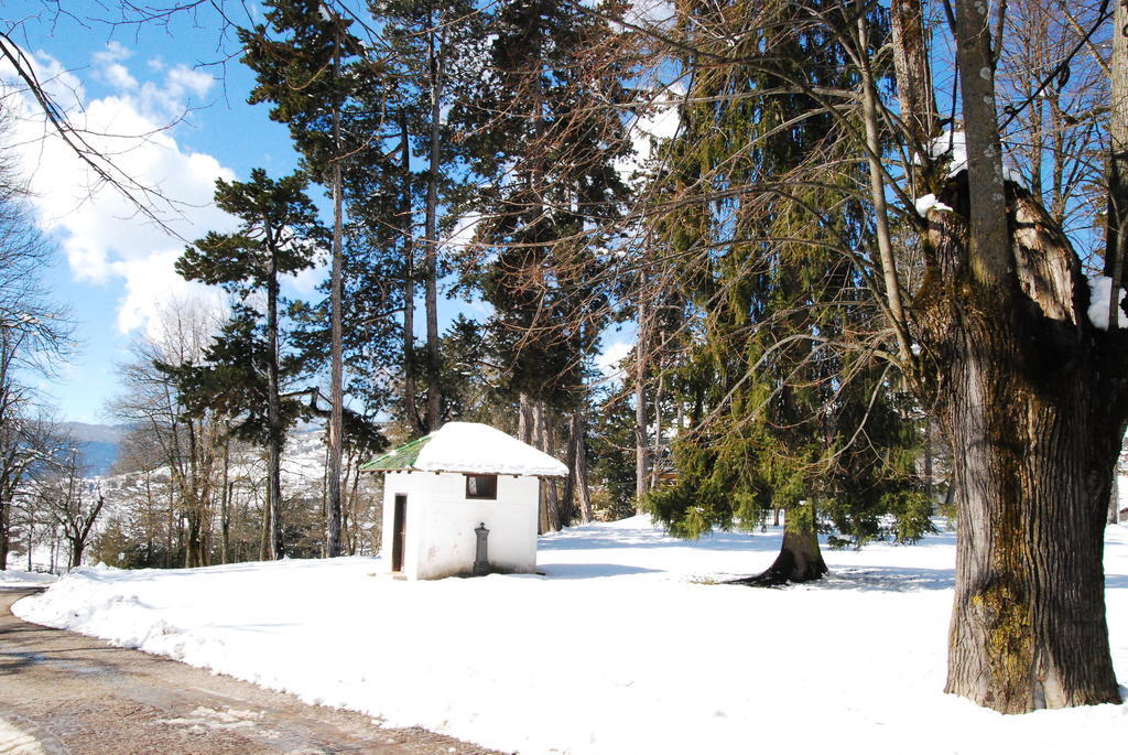 Hotel San Valier Cavalese Luaran gambar